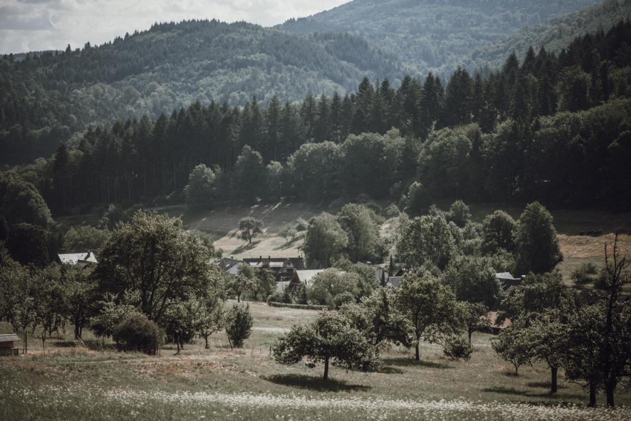 Pine Cone Loft On Baden-baden's Panorama Trail *